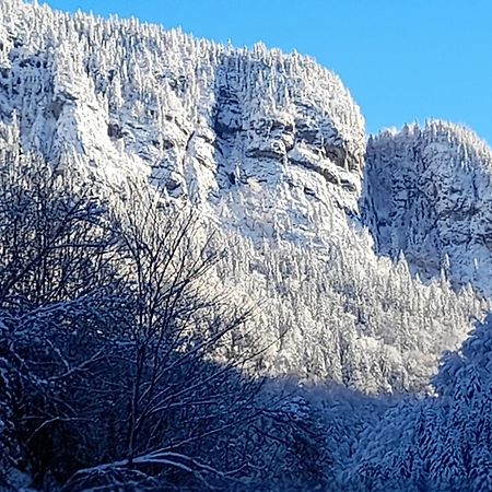 Le Bouquetin Lägenhet Entremont Exteriör bild
